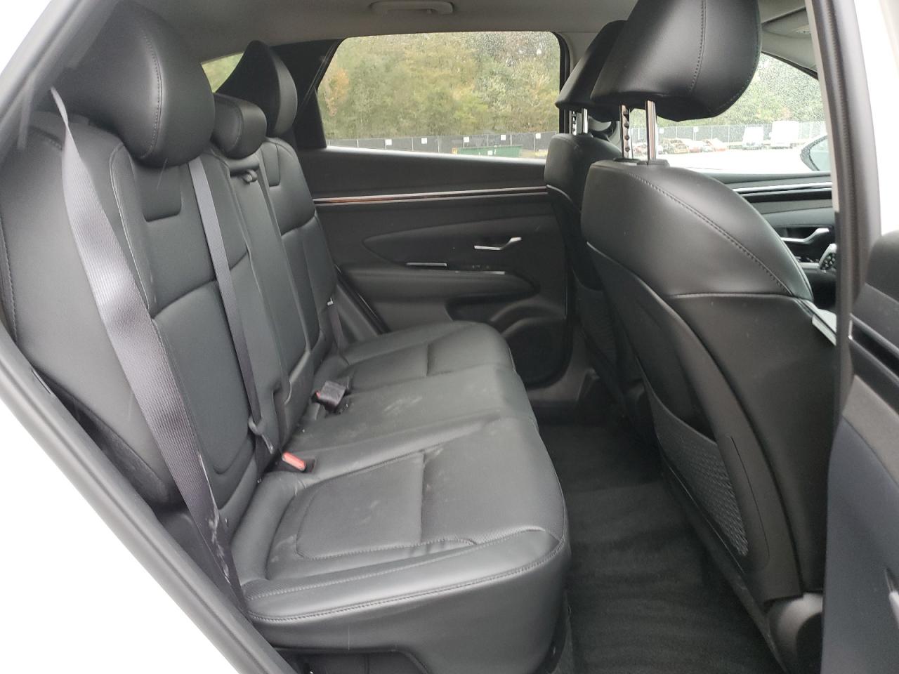 2023 Hyundai Tucson Limited VIN: KM8JECA17PU086890 Lot: 82305315