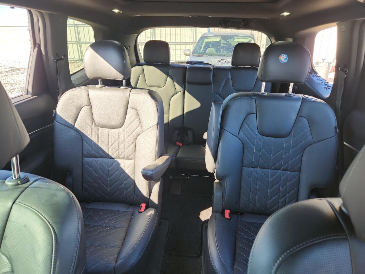 2023 Kia Telluride Sx VIN: 5XYP5DGC3PG376025 Lot: 84385785