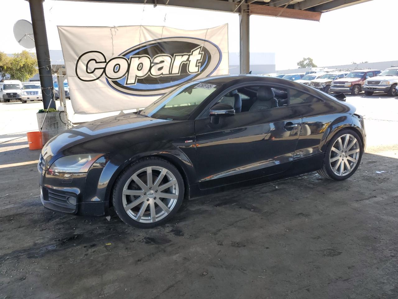 Фото: TRUVF38JX91024628