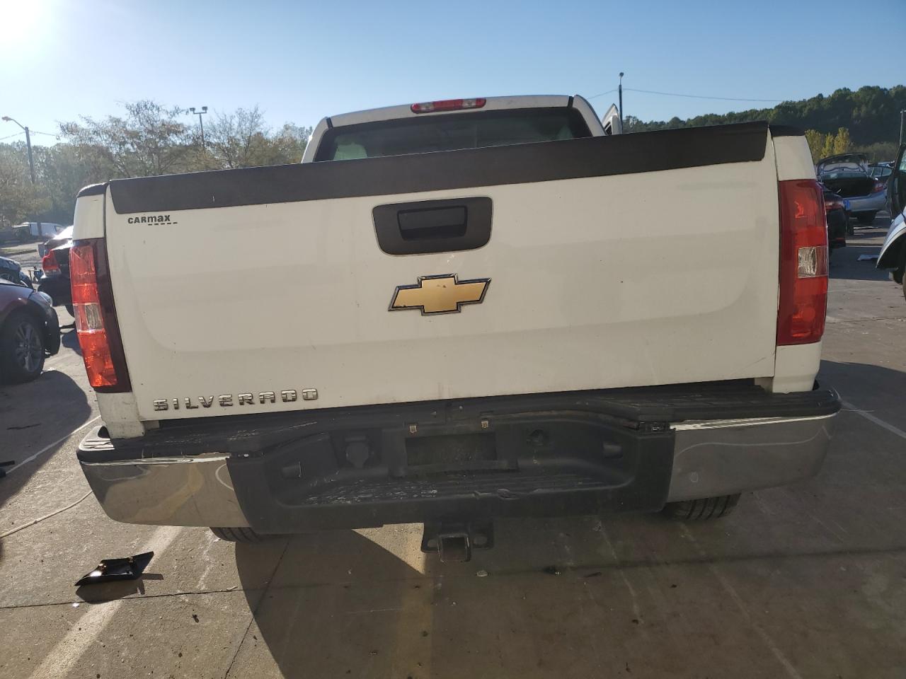 2010 Chevrolet Silverado C1500 VIN: 1GCSCPEX7AZ111334 Lot: 82176095