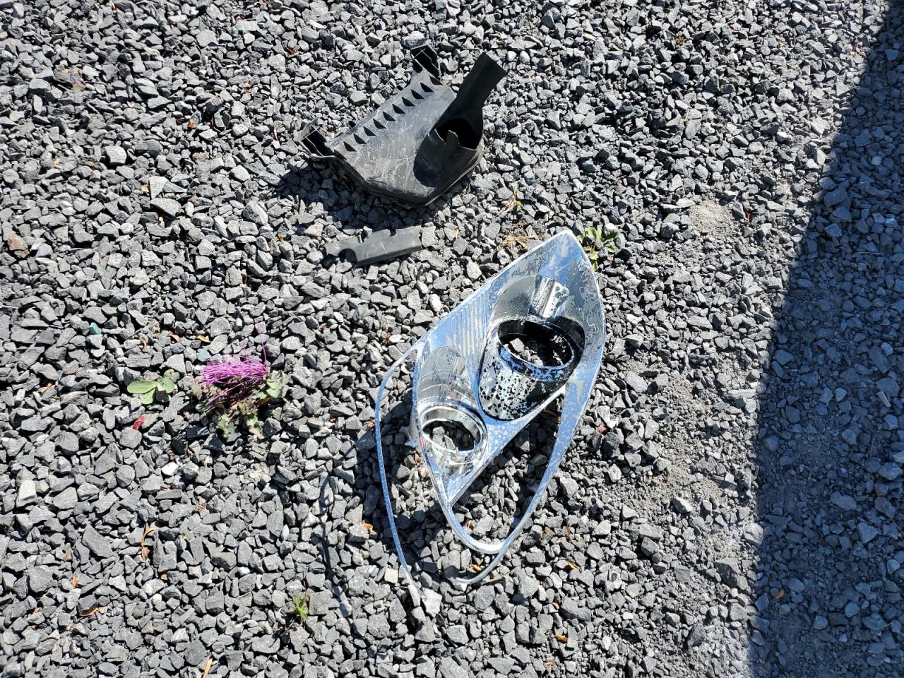 2009 Kia Rondo Base VIN: KNAFG528X97259442 Lot: 84961815