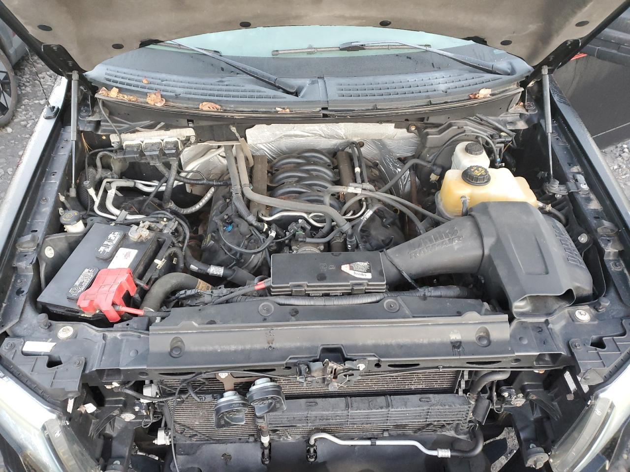 2013 Ford F150 Super Cab VIN: 1FTFX1EF3DFD51822 Lot: 82315215