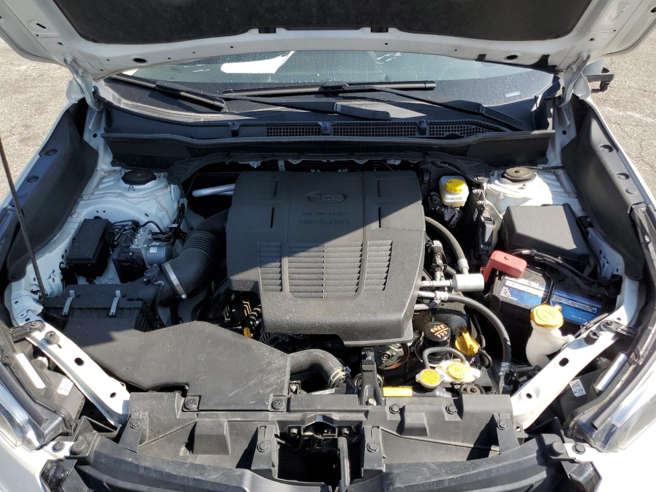 2023 Subaru Forester Sport VIN: JF2SKAJC0PH545775 Lot: 82356295