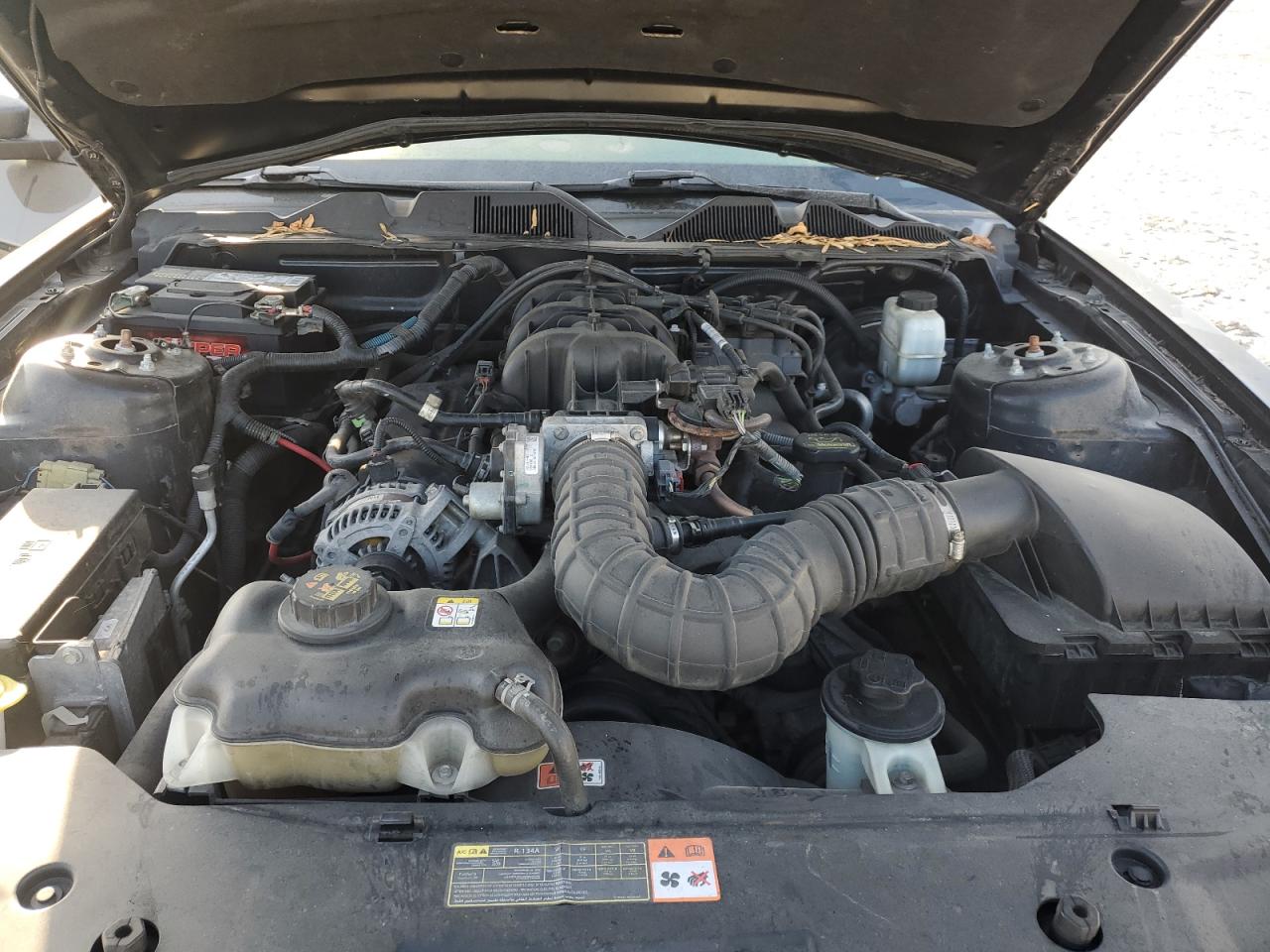 2010 Ford Mustang VIN: 1ZVBP8EN3A5175481 Lot: 86224565