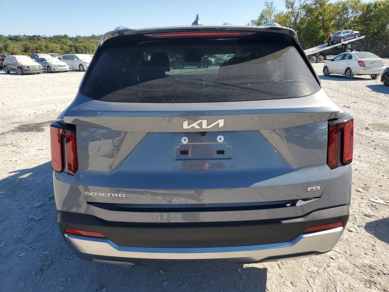 2025 Kia Sorento Ex VIN: 5XYRHDJF7SG383720 Lot: 86160125