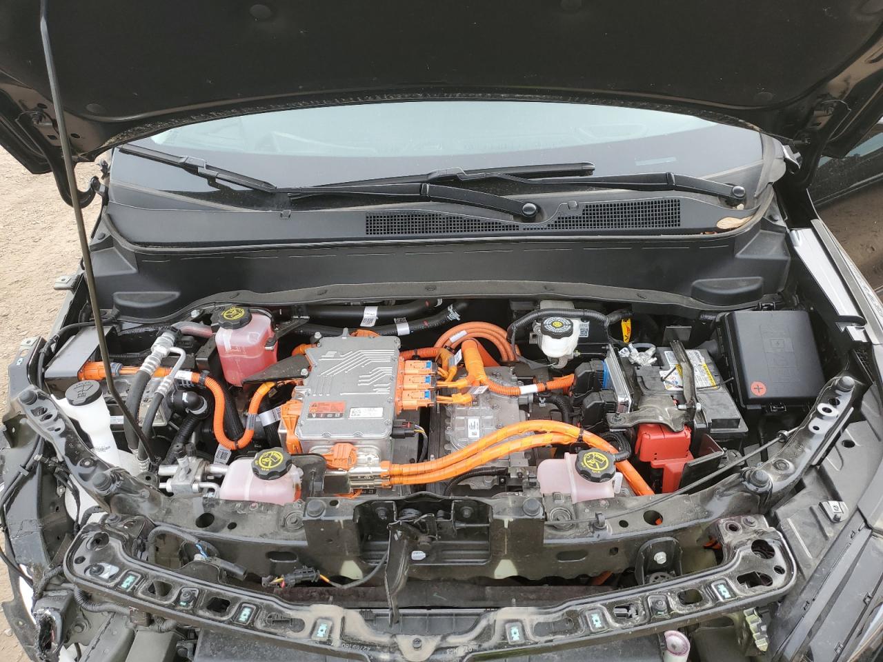 2023 Chevrolet Bolt Euv Lt VIN: 1G1FY6S04P4156475 Lot: 91103225