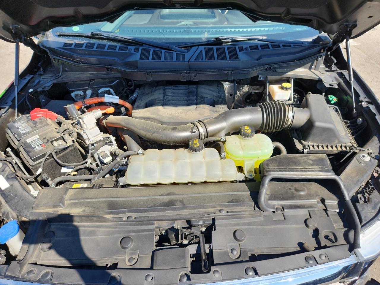 2021 Ford F150 Supercrew VIN: 1FTFW1ED4MFC91194 Lot: 84579655