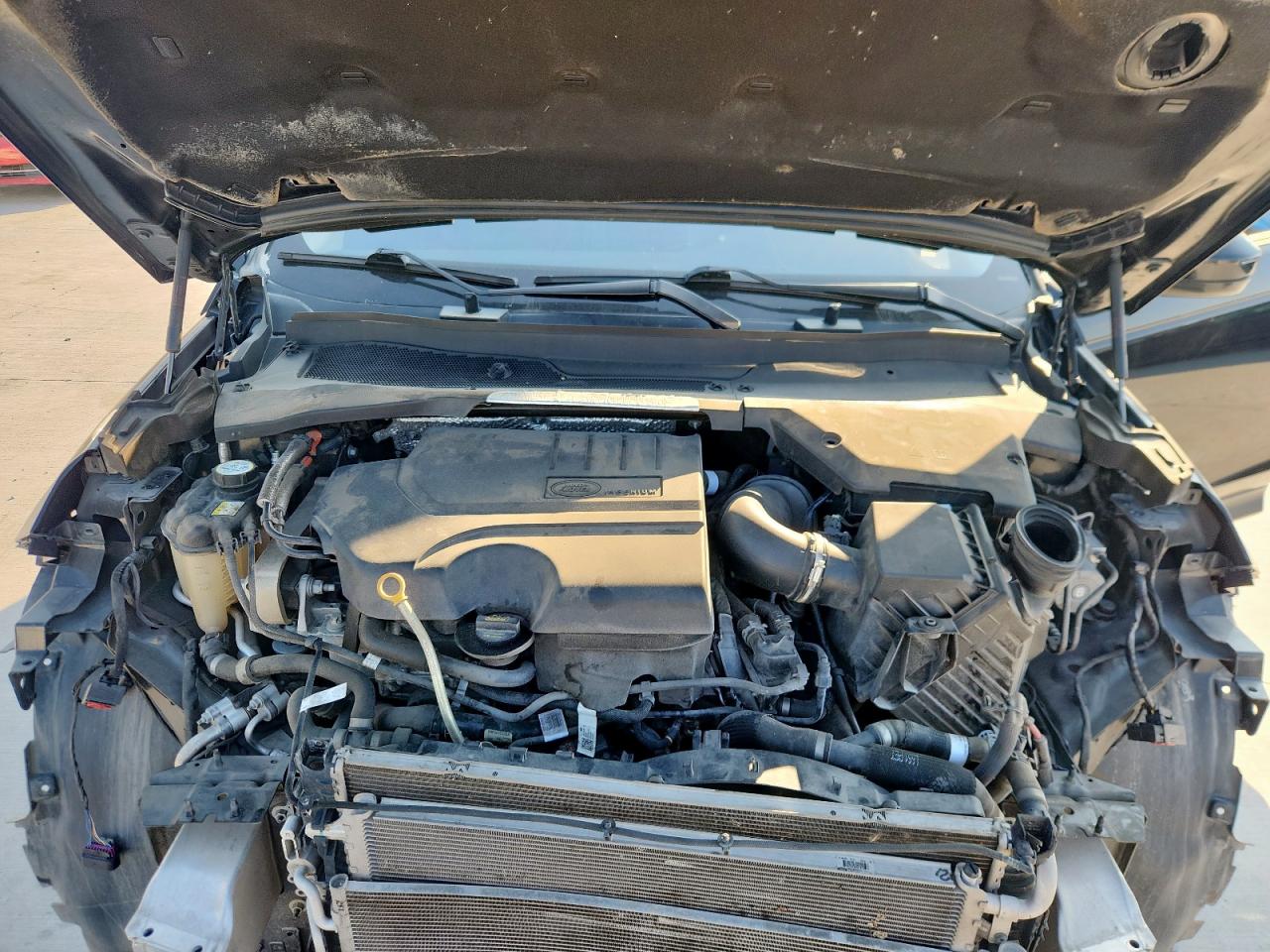 2020 Land Rover Discovery Sport VIN: SALCK2FX0LH874726 Lot: 86099655