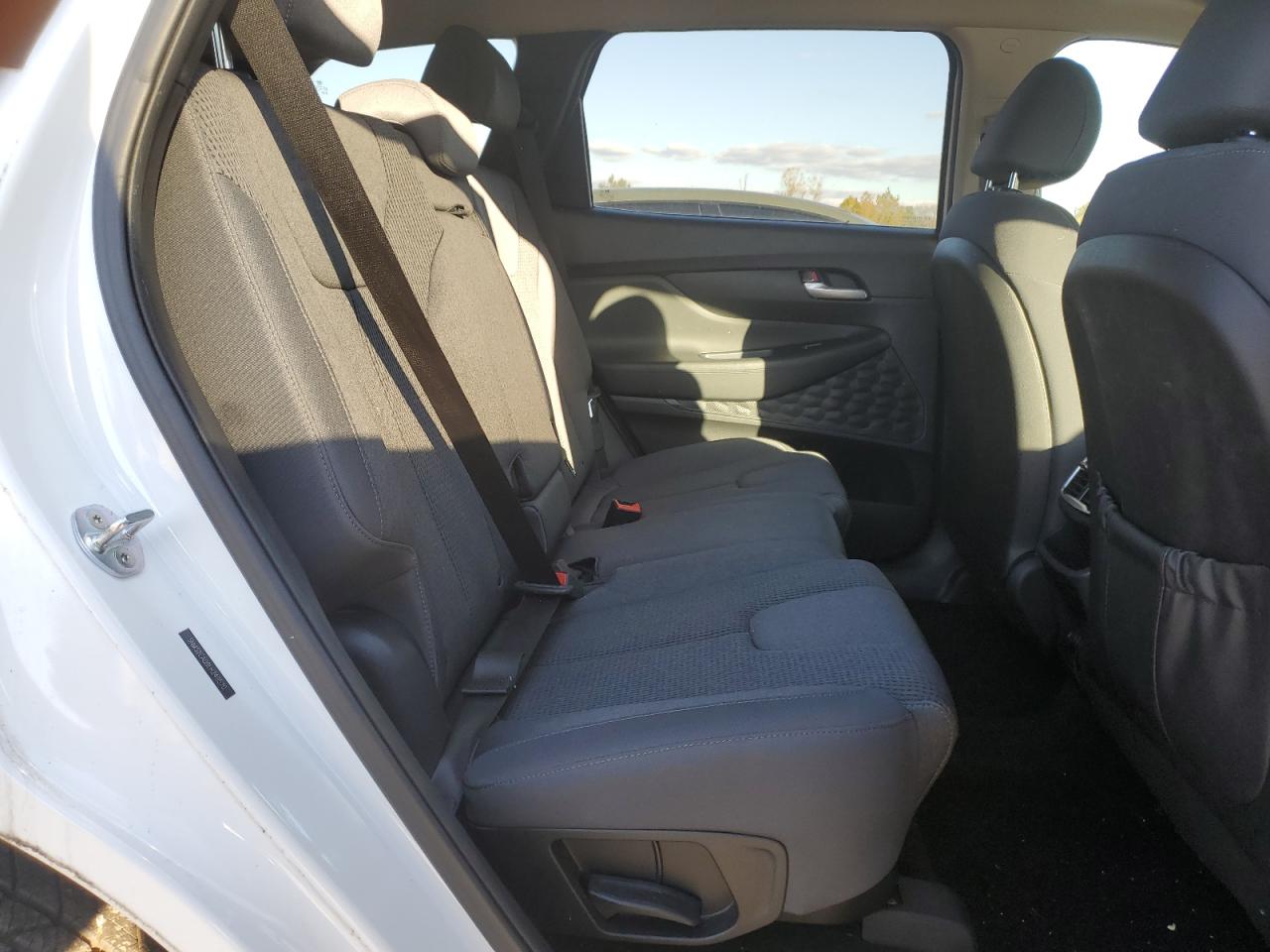 2020 Hyundai Santa Fe Se VIN: 5NMS2CAD9LH249570 Lot: 82320375
