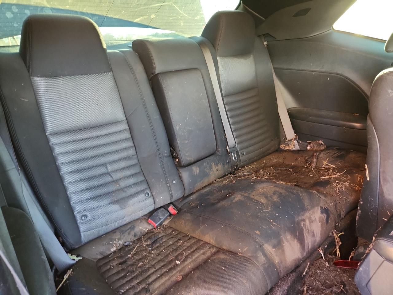 2013 Dodge Challenger Sxt VIN: 2C3CDYAG8DH663317 Lot: 86305475