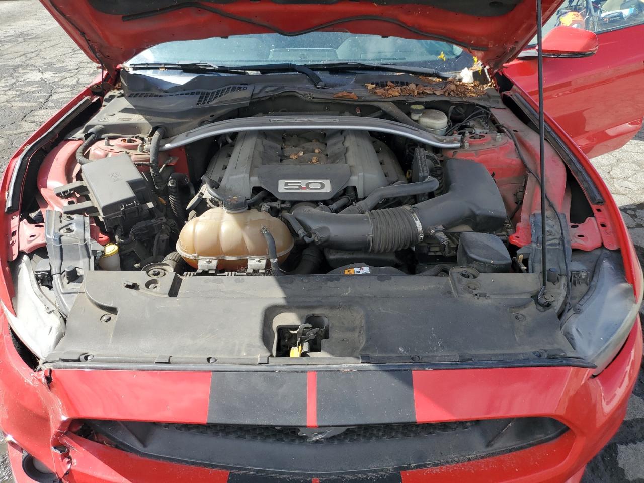 2015 Ford Mustang Gt VIN: 1FATP8FF0F5352239 Lot: 85199415