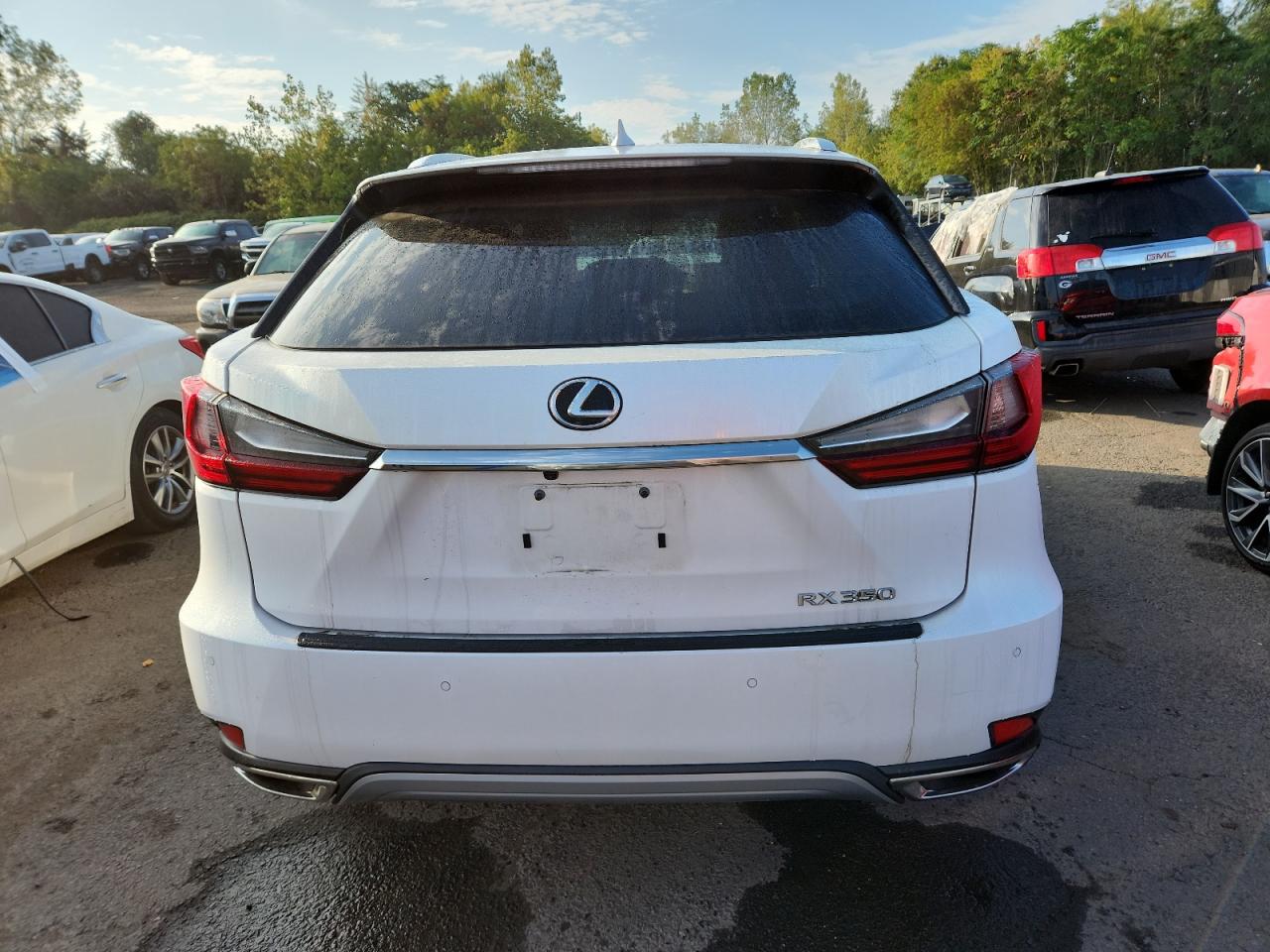 2020 Lexus Rx 350 VIN: 2T2HZMDA5LC255560 Lot: 81985485