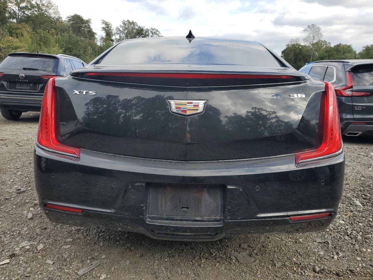2019 Cadillac Xts VIN: 2G61U5S31K9141359 Lot: 85358845