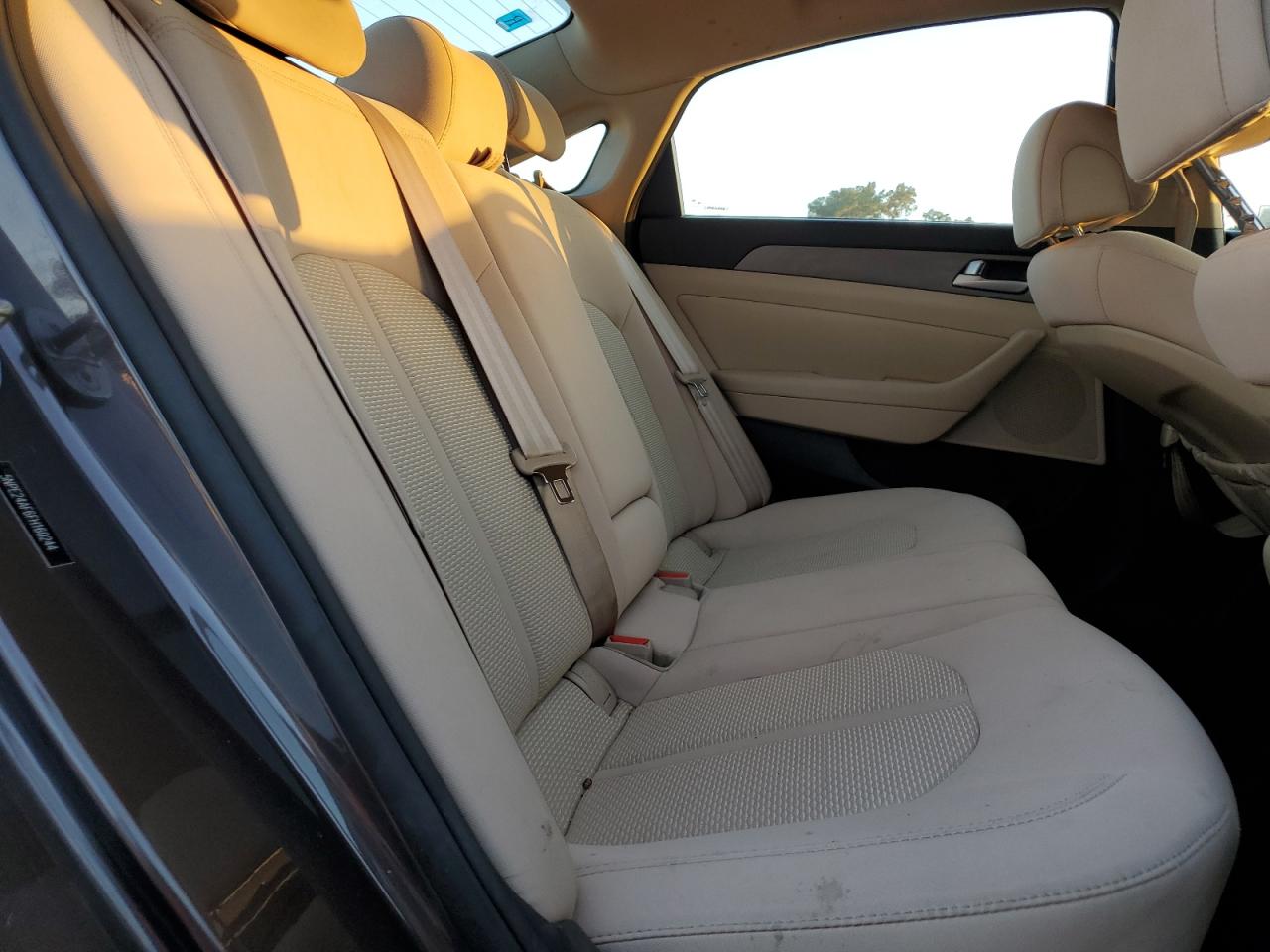 2015 Hyundai Sonata Se VIN: 5NPE24AF6FH160244 Lot: 85516635