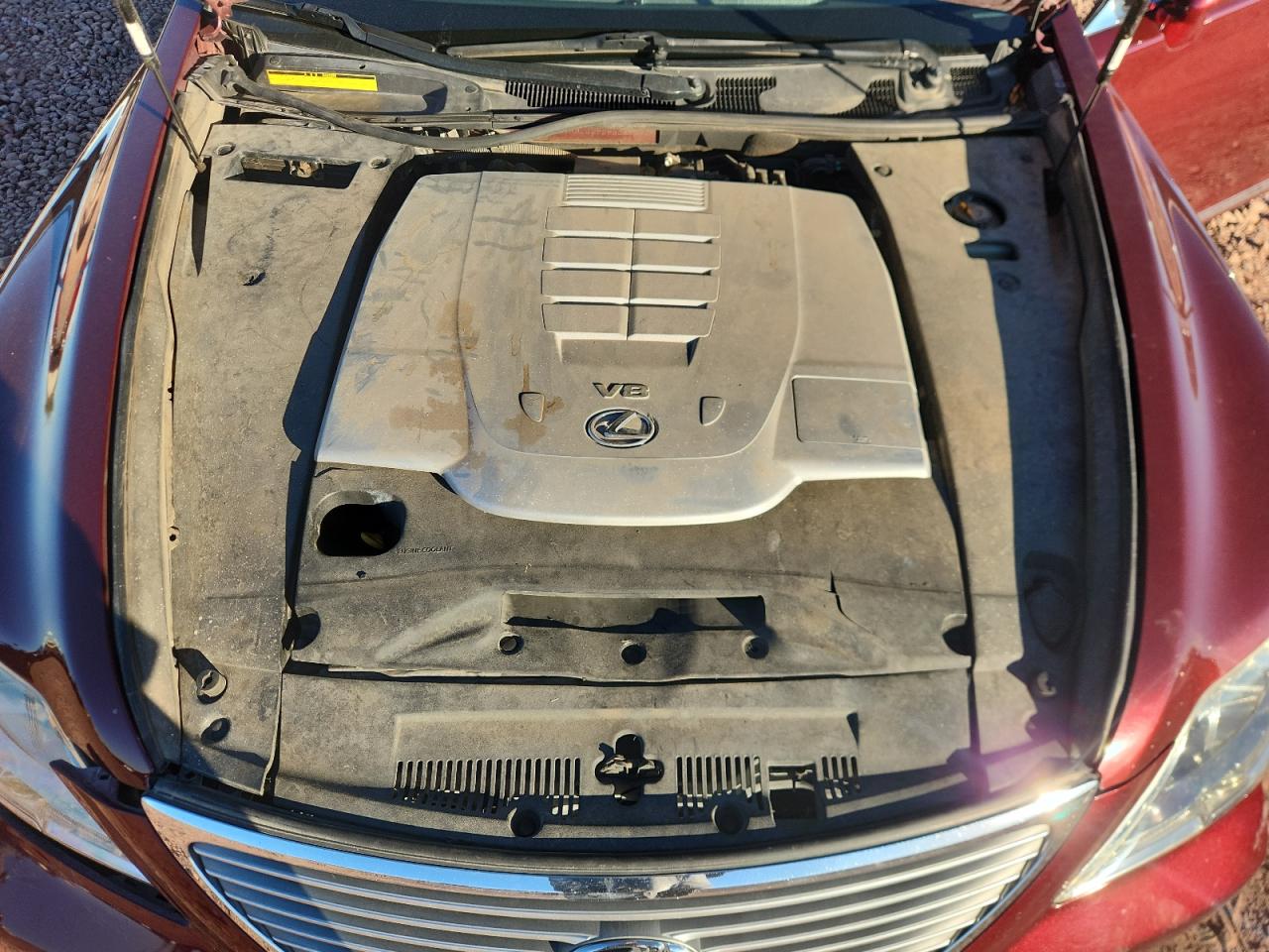 2009 Lexus Ls 460 VIN: JTHBL46F295089250 Lot: 87098595