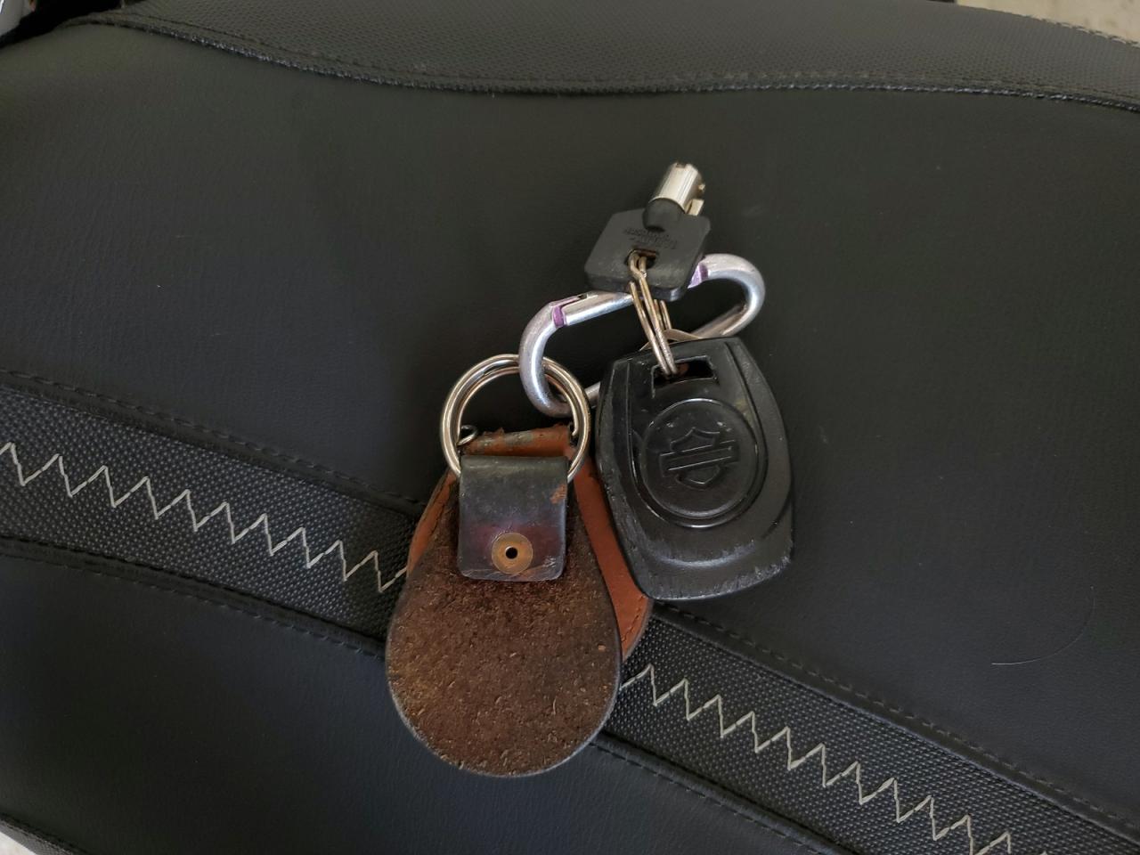 2024 Harley-Davidson Fltrx VIN: 1HD1KH719RB624424 Lot: 85171345