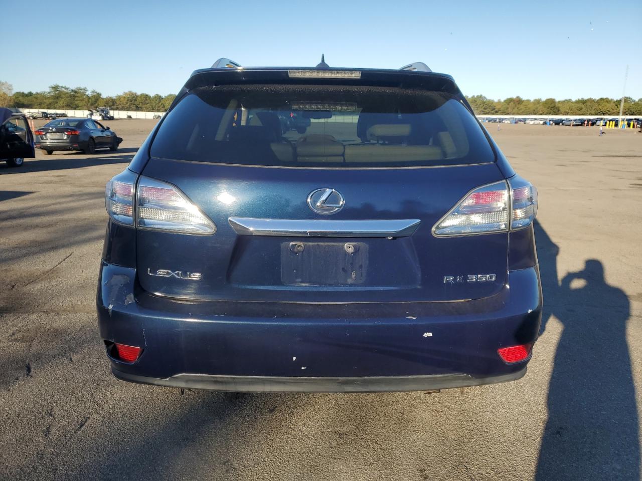 2010 Lexus Rx 350 VIN: 2T2BK1BA5AC004014 Lot: 84807315