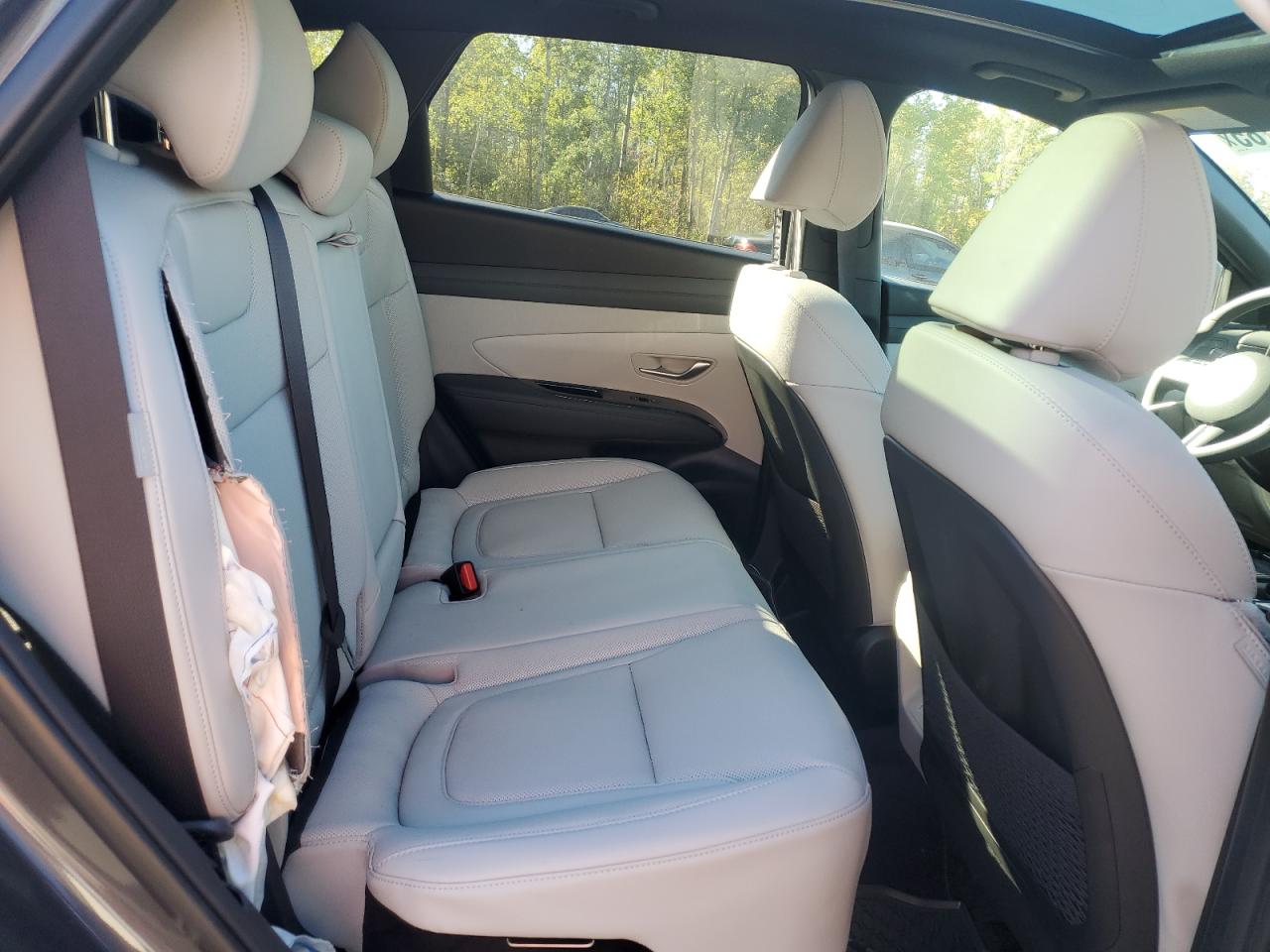 2025 Hyundai Tucson Sel Convenience VIN: KM8JCDD10SU362486 Lot: 84428785