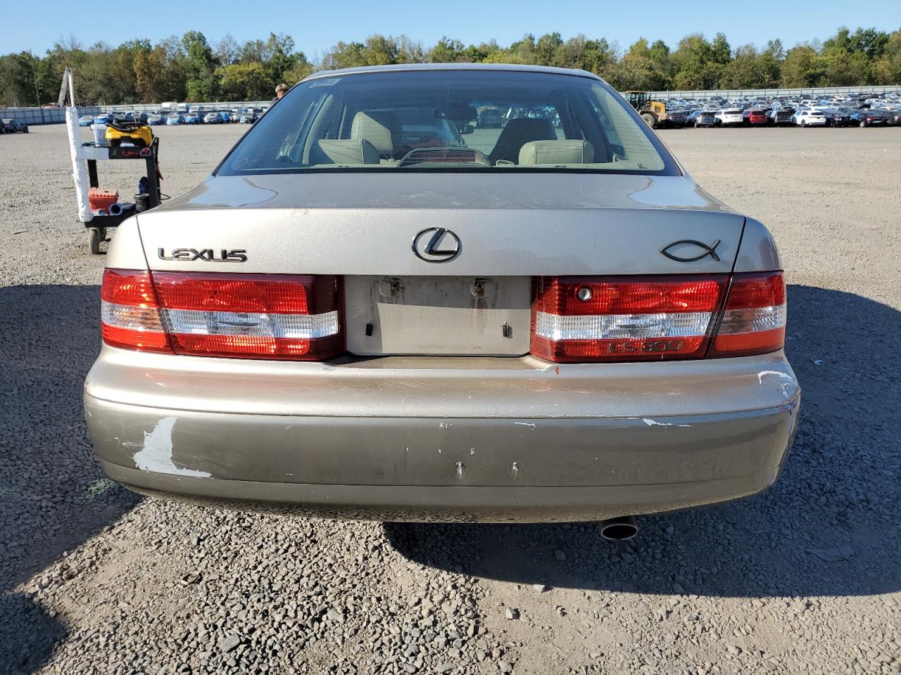 2000 Lexus Es 300 VIN: JT8BF28G3Y5094067 Lot: 85300975