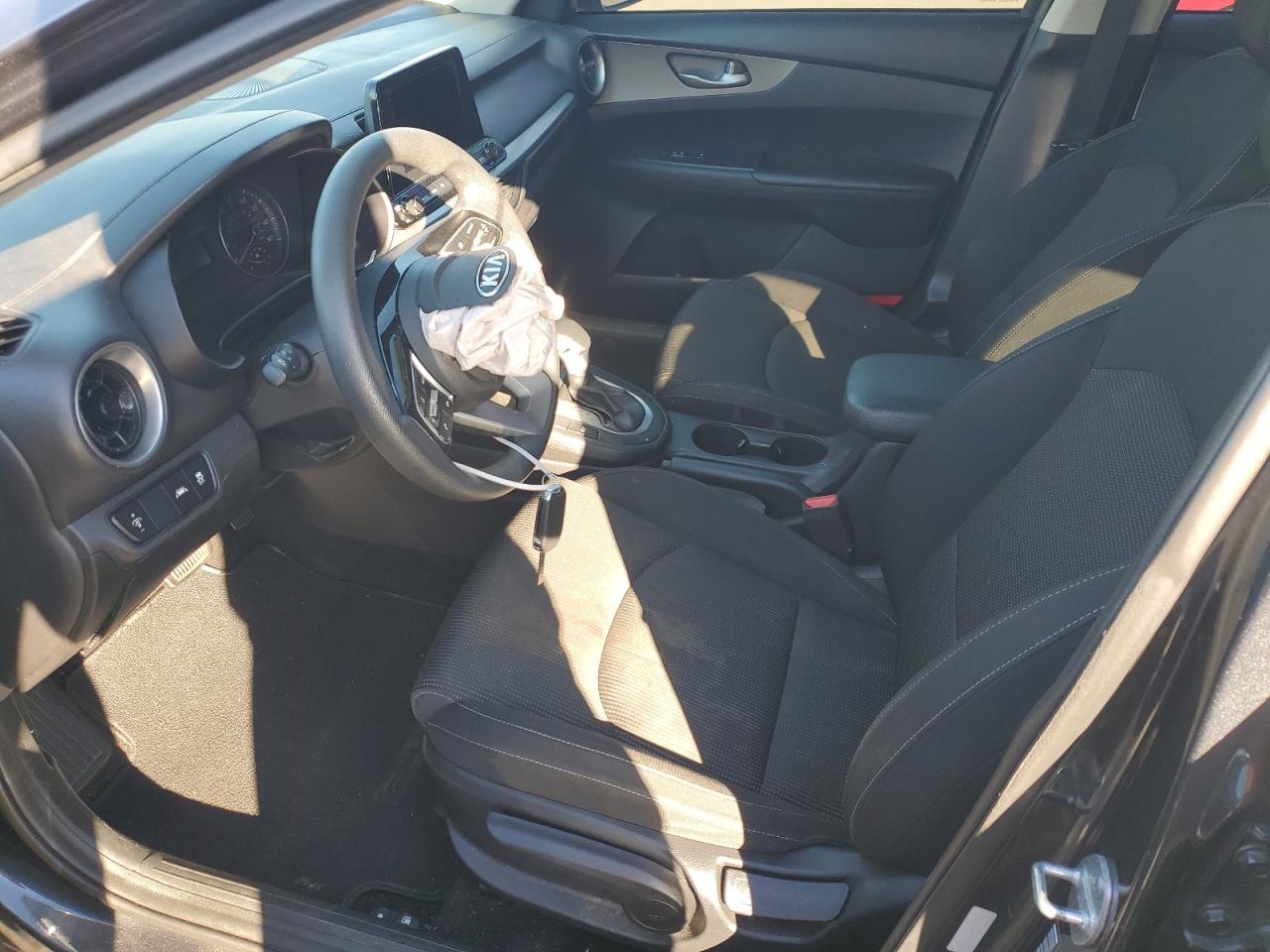 2019 Kia Forte Fe VIN: 3KPF24AD8KE073236 Lot: 86169425