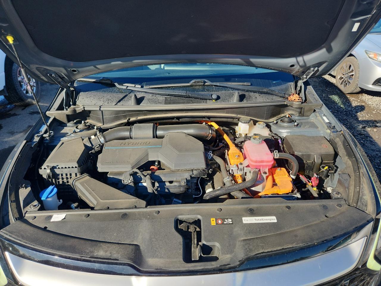 2023 Kia Sportage Ex VIN: KNDPVCAGXP7026717 Lot: 86308235