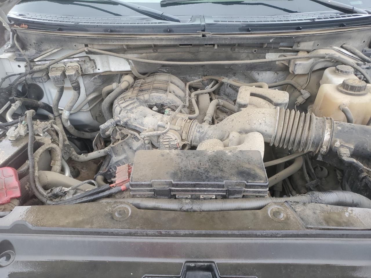 2011 Ford F150 VIN: 1FTMF1EM0BKD92695 Lot: 85693775