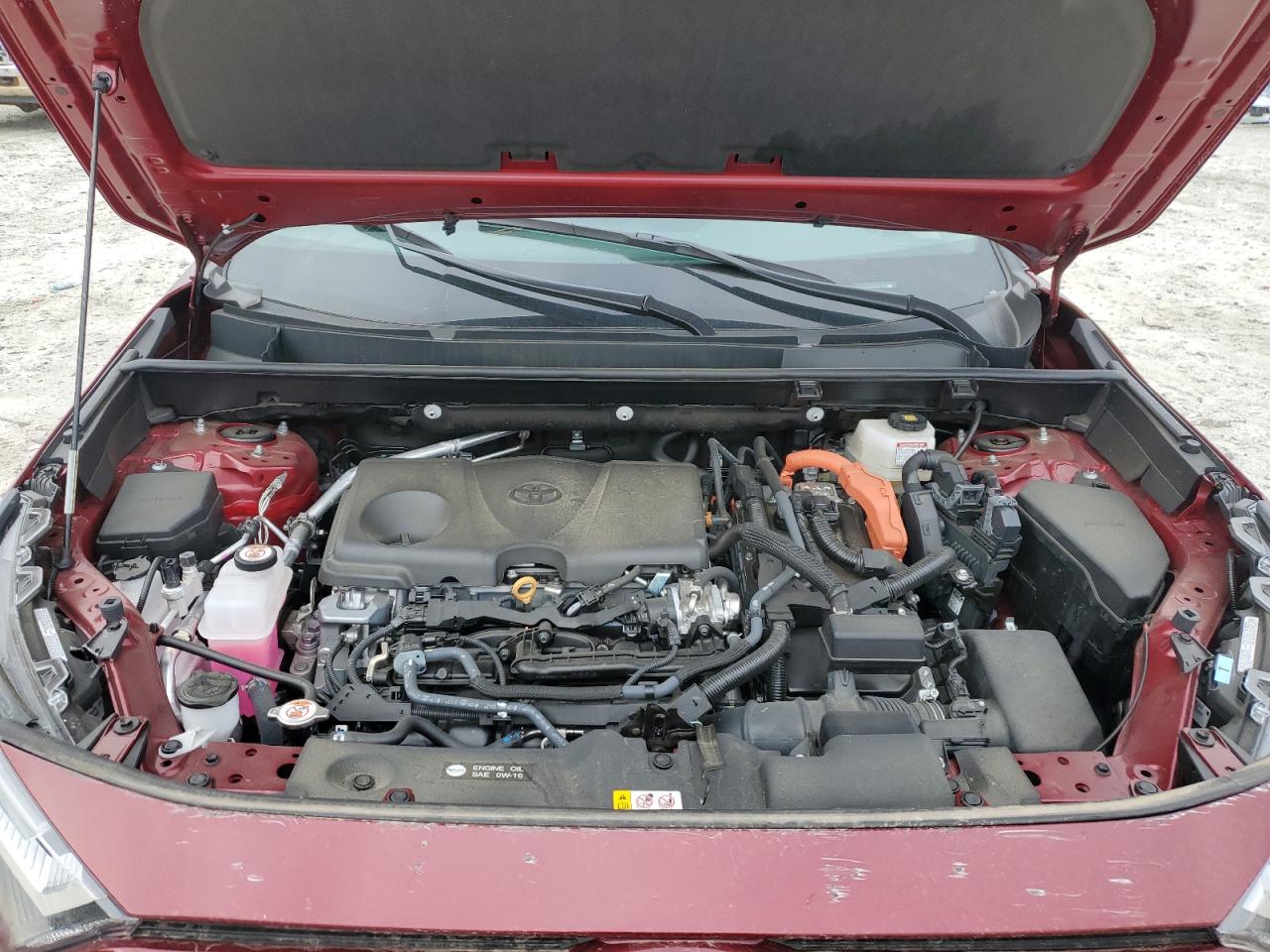 2024 Toyota Rav4 Xle VIN: 4T3RWRFV0RU140622 Lot: 82368155