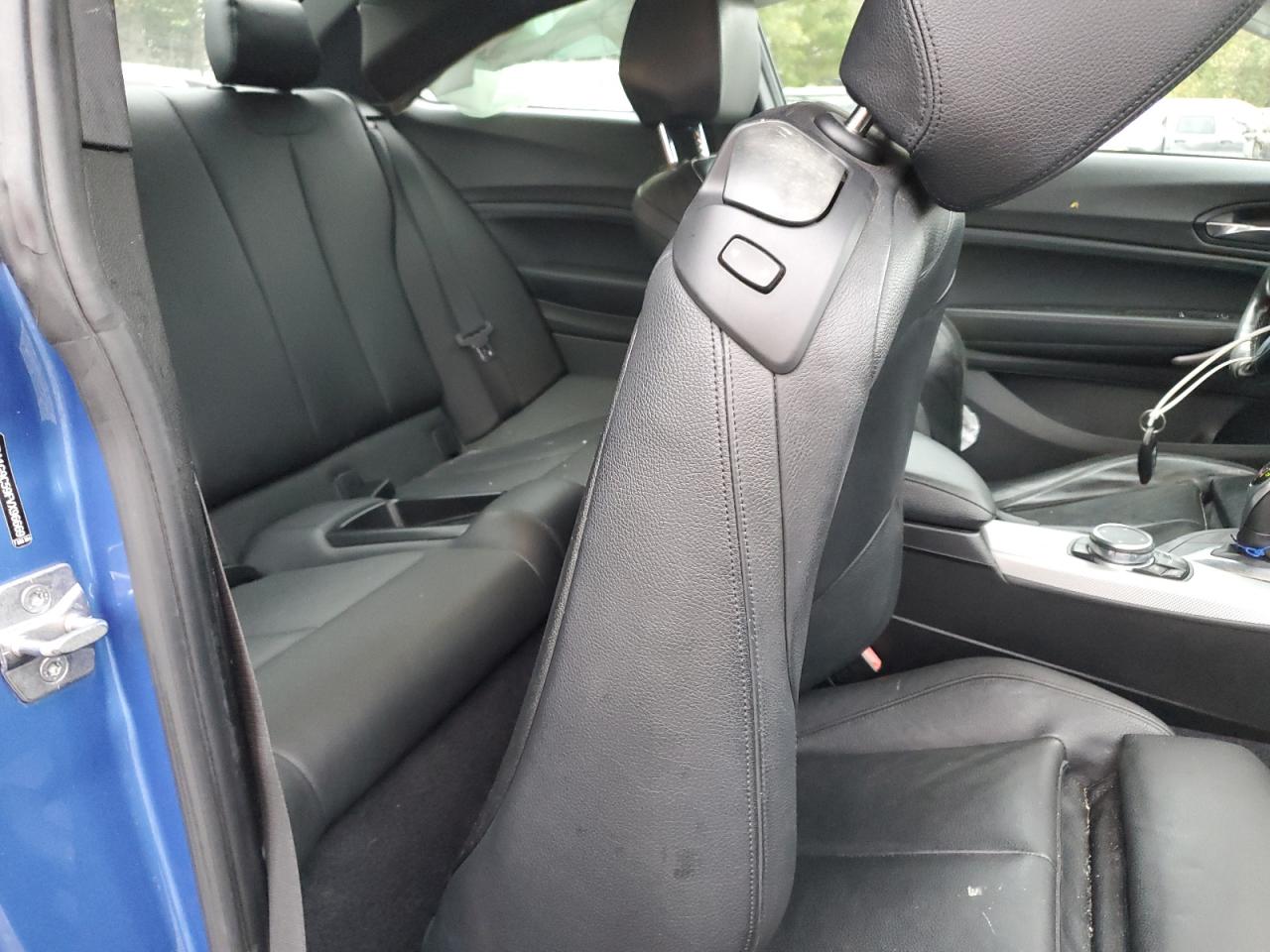 2015 BMW 228 Xi Sulev VIN: WBA1G9C59FVX96669 Lot: 86502635