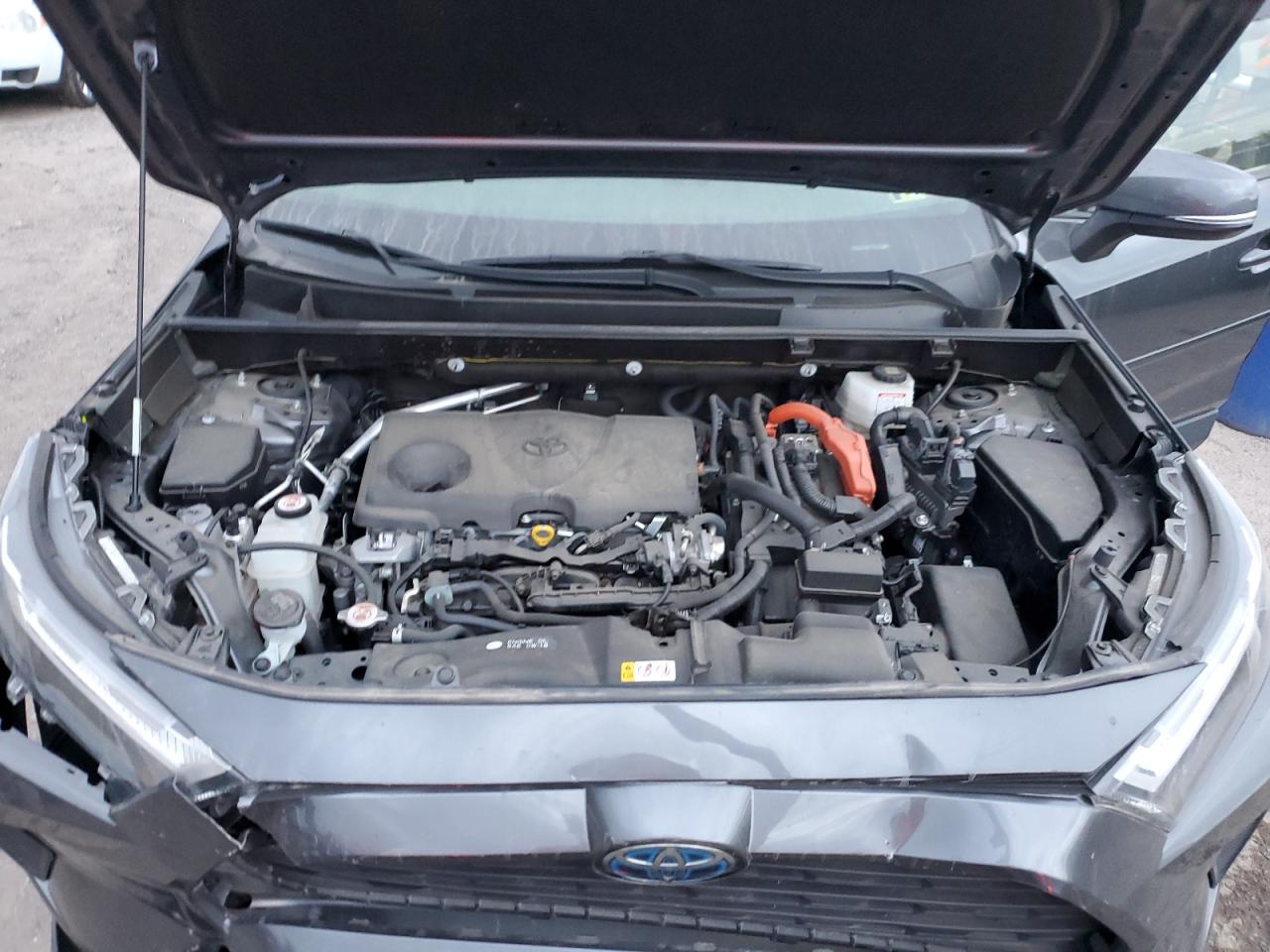 2023 Toyota Rav4 Xle VIN: JTMRWRFV5PD184058 Lot: 82213125