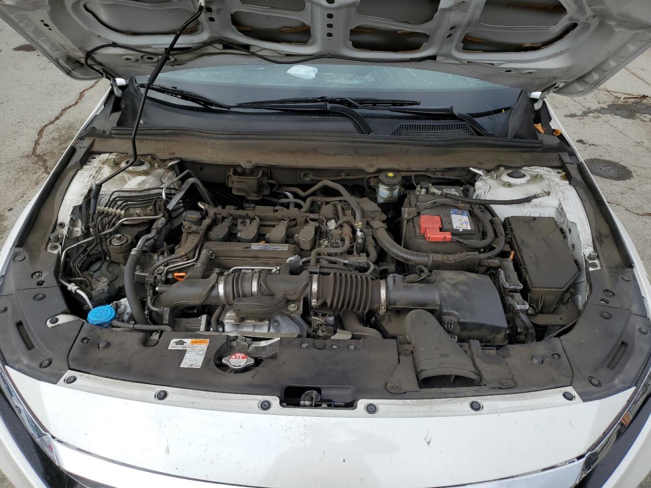 2019 Honda Accord Lx VIN: 1HGCV1F16KA167594 Lot: 84807485