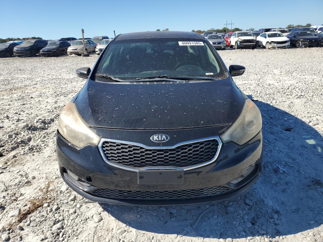 2014 Kia Forte Ex VIN: KNAFX4A87E5051679 Lot: 80091585