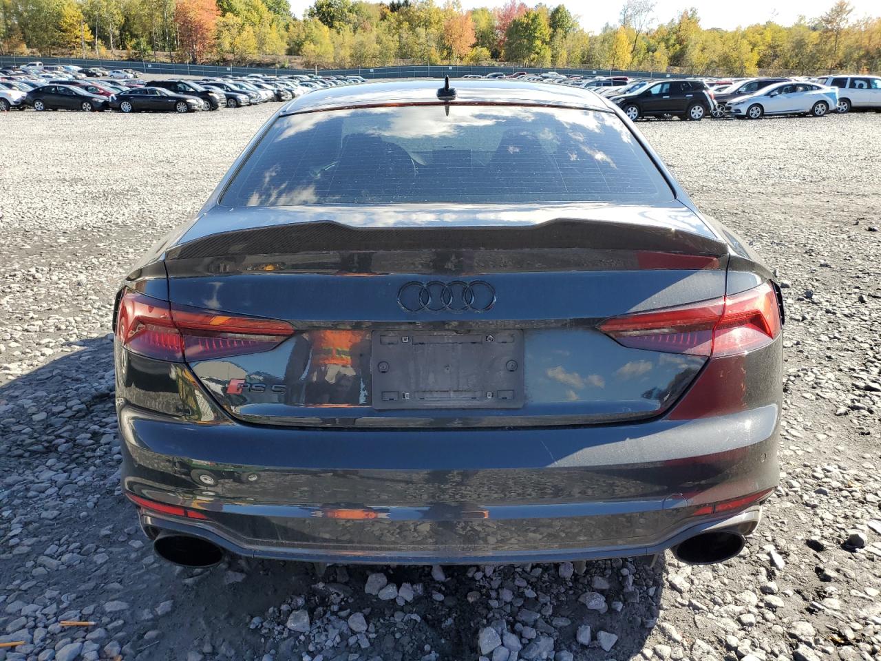 2019 Audi Rs5 VIN: WUAPWAF59KA903155 Lot: 86166555