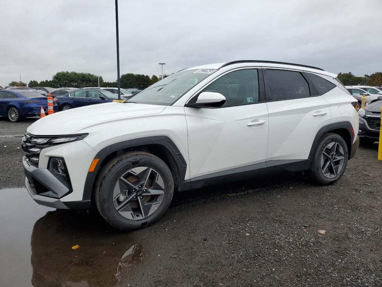 2025 Hyundai Tucson Sel VIN: 3KMJB3DE8SE023667 Lot: 86227845