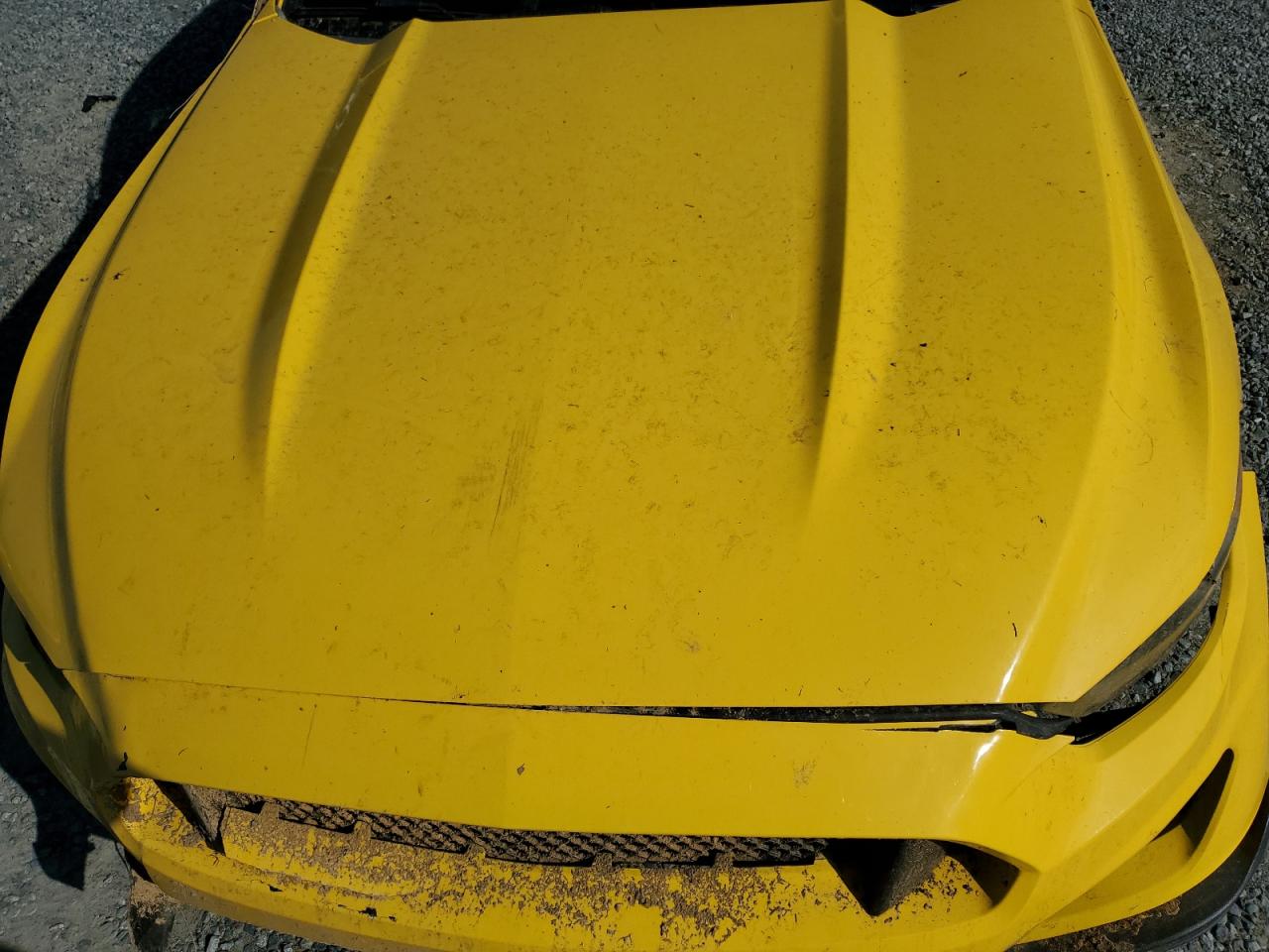 2015 Ford Mustang VIN: 1FATP8EM7F5352822 Lot: 81951075