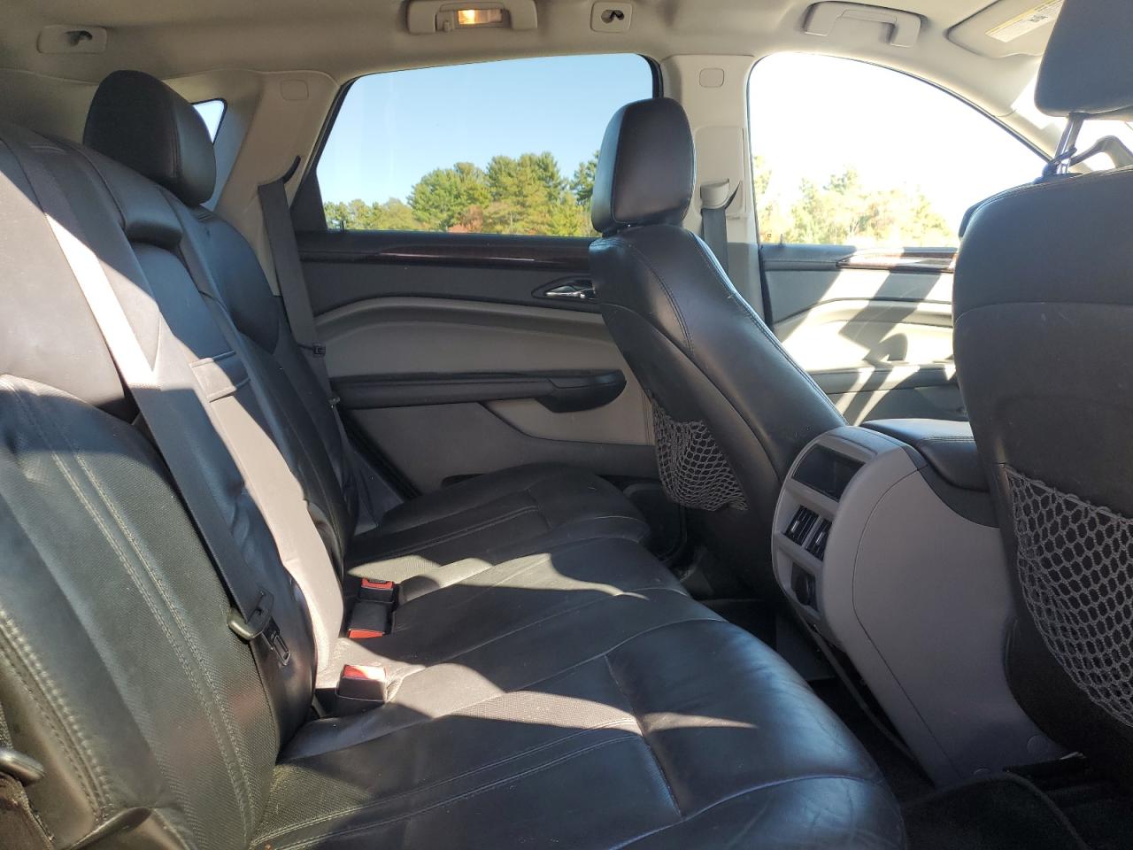 2010 Cadillac Srx Luxury Collection VIN: 3GYFNAEY9AS620429 Lot: 85731295