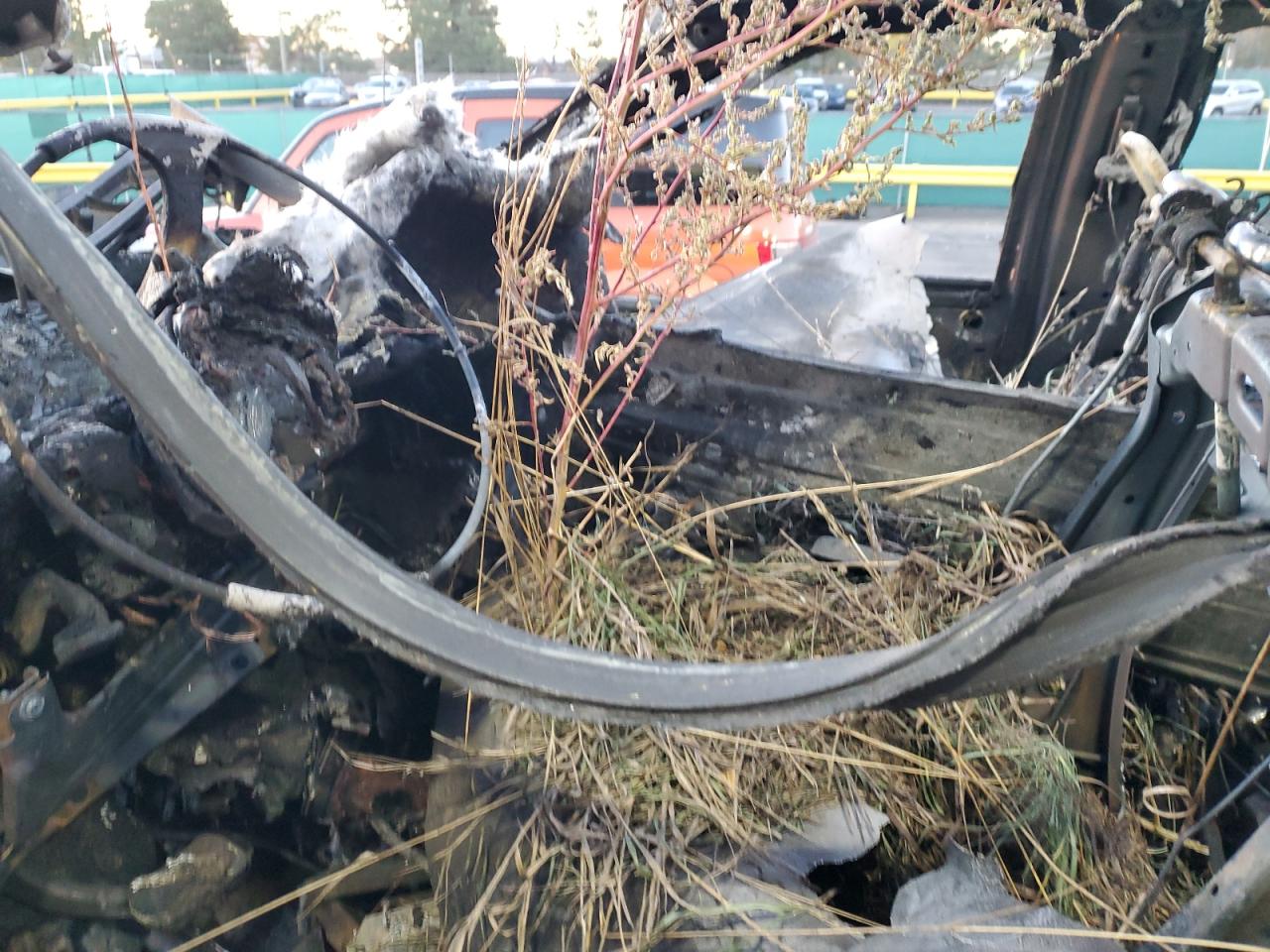 2019 Ford F150 Supercrew VIN: 1FTEW1E56KFB37717 Lot: 82699285