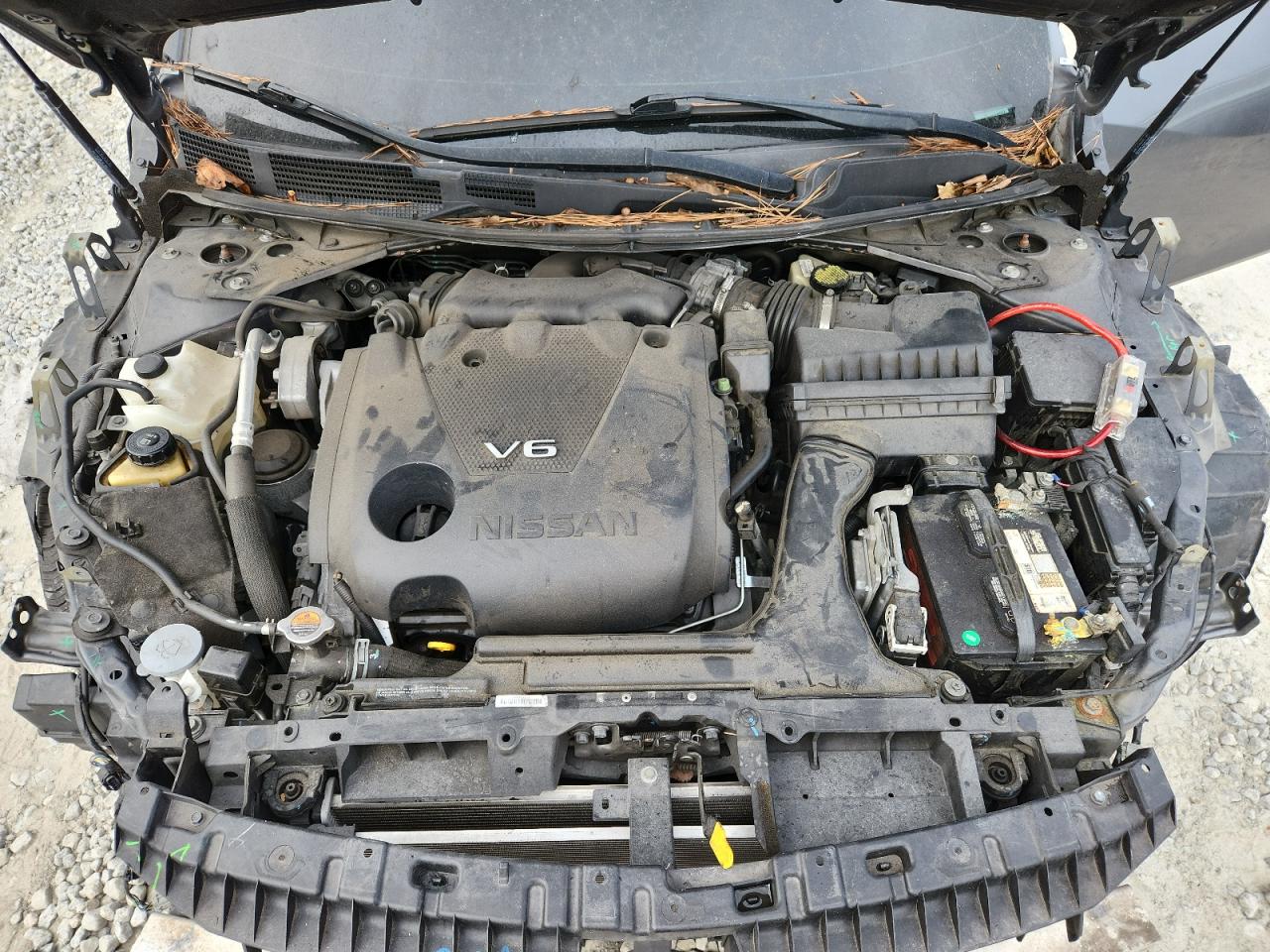 2017 Nissan Maxima 3.5S VIN: 1N4AA6AP6HC421883 Lot: 84941965