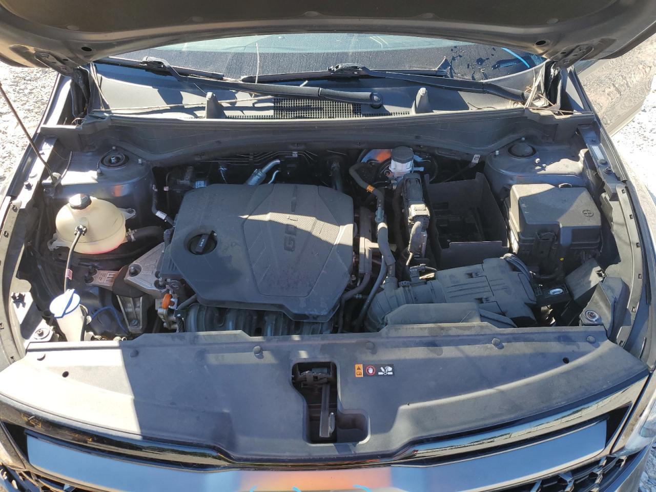 2023 Kia Sportage X Line VIN: 5XYK6CAF5PG022527 Lot: 86308875