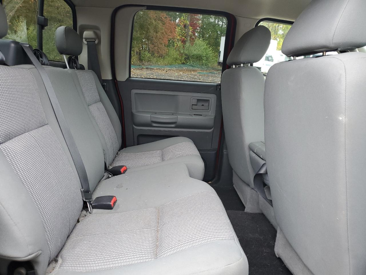2010 Dodge Dakota Sxt VIN: 1D7CW3GP8AS135738 Lot: 86528515