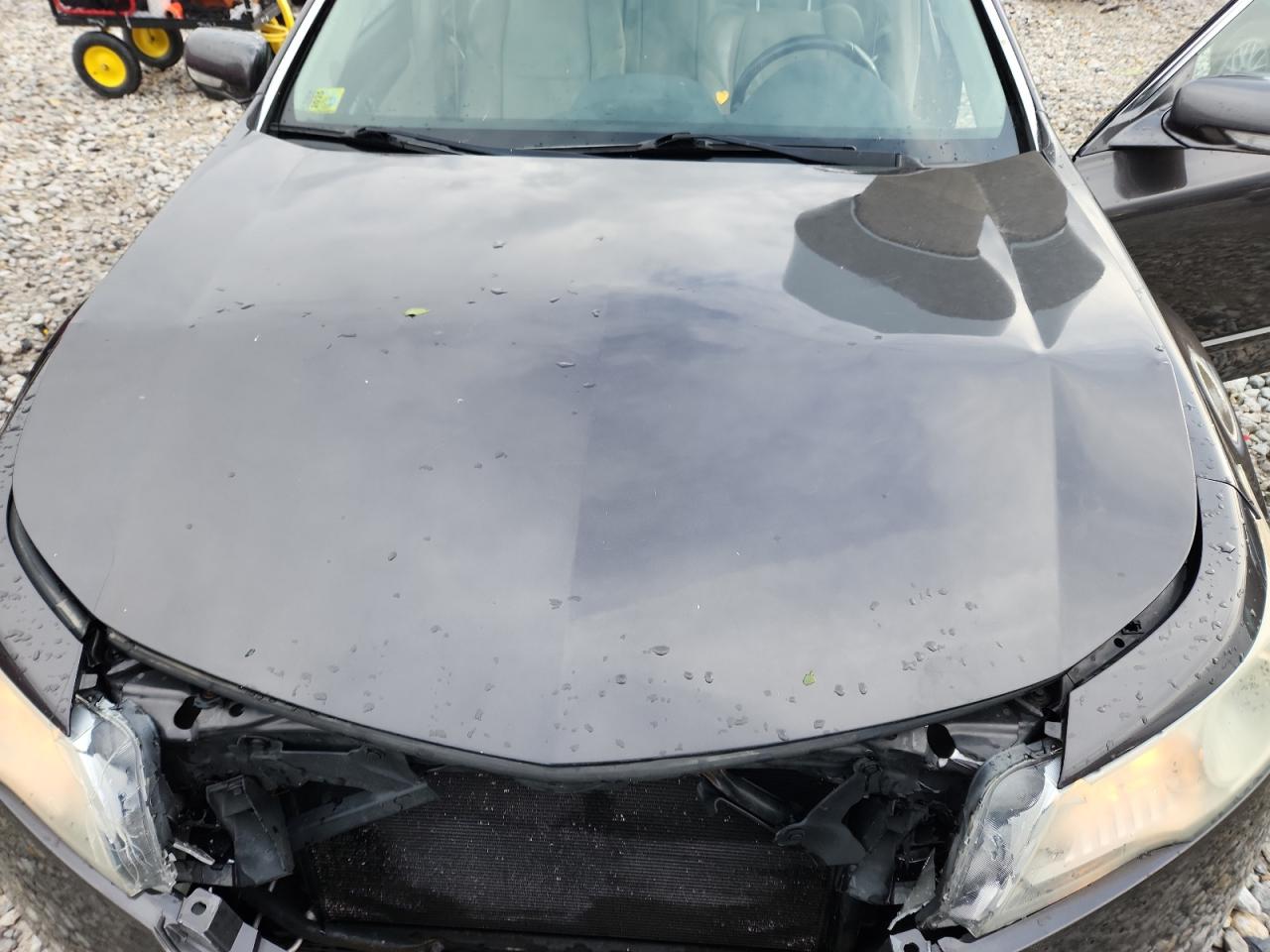 2010 Acura Tl VIN: 19UUA8F25AA006833 Lot: 87282345