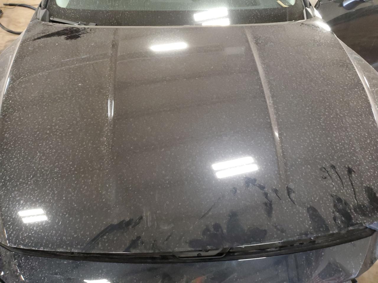 2025 Mazda Cx-50 Premium Plus VIN: 7MMVAAEW9SN116583 Lot: 86981905