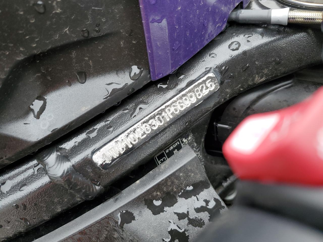 2023 BMW S 1000 Rr VIN: WB10E6308P6H06687 Lot: 86699755