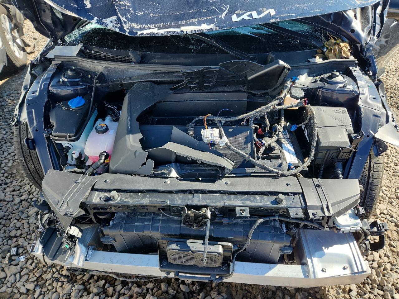 2023 Kia Ev6 Light VIN: KNDC3DLCXP5102307 Lot: 87068585