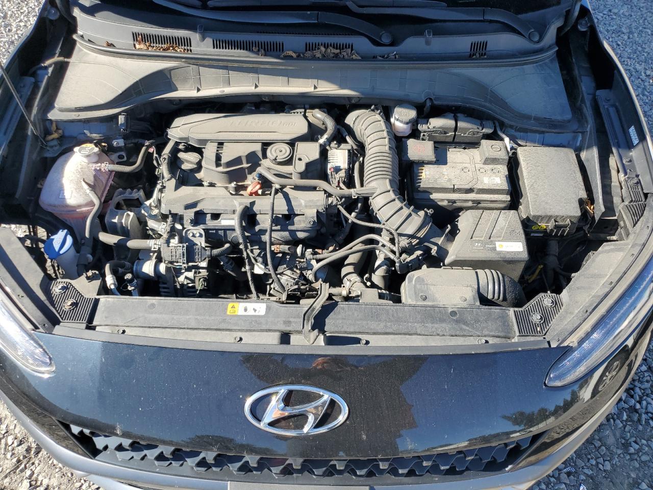 2022 Hyundai Kona Limited VIN: KM8K5CA38NU923648 Lot: 84450365