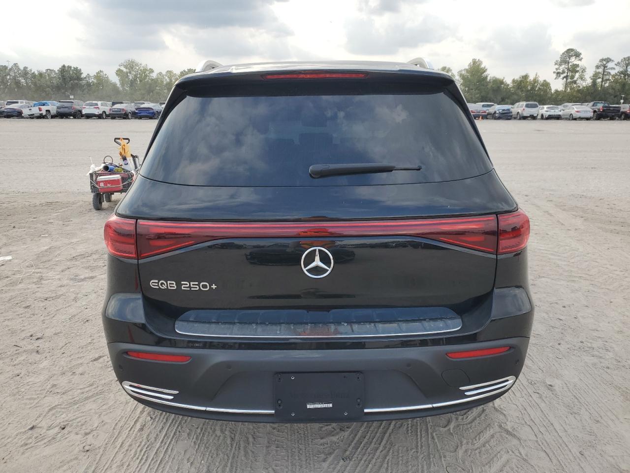 2024 Mercedes-Benz Eqb 250+ VIN: W1N9M0CB7RN098736 Lot: 85921835