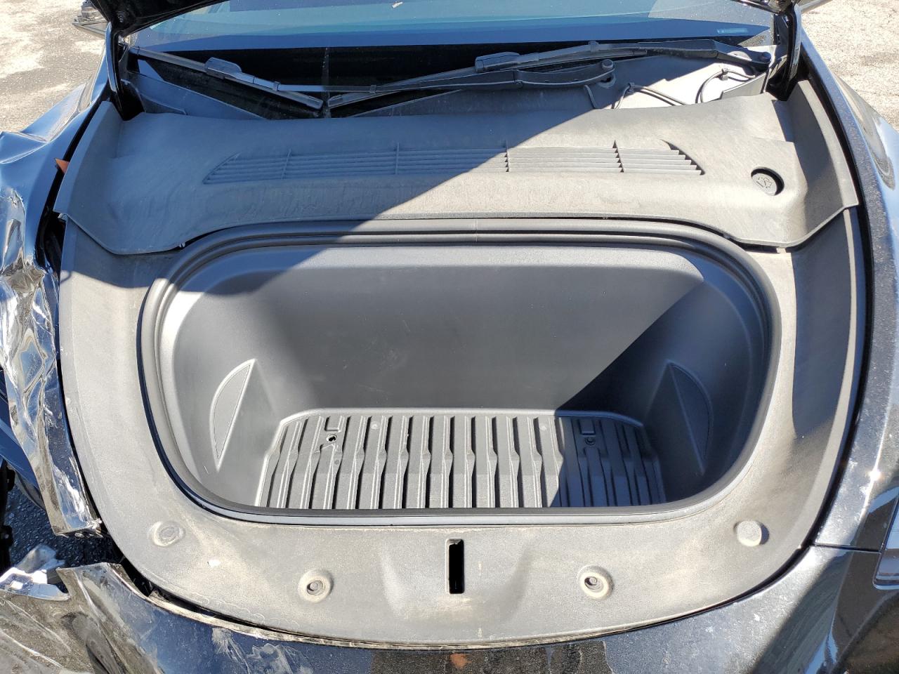 2023 Tesla Model Y VIN: 7SAYGDEE0PA176391 Lot: 86256315