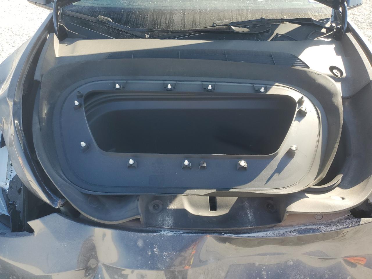 2023 Tesla Model Y VIN: 7SAYGDED9PF947604 Lot: 82488515