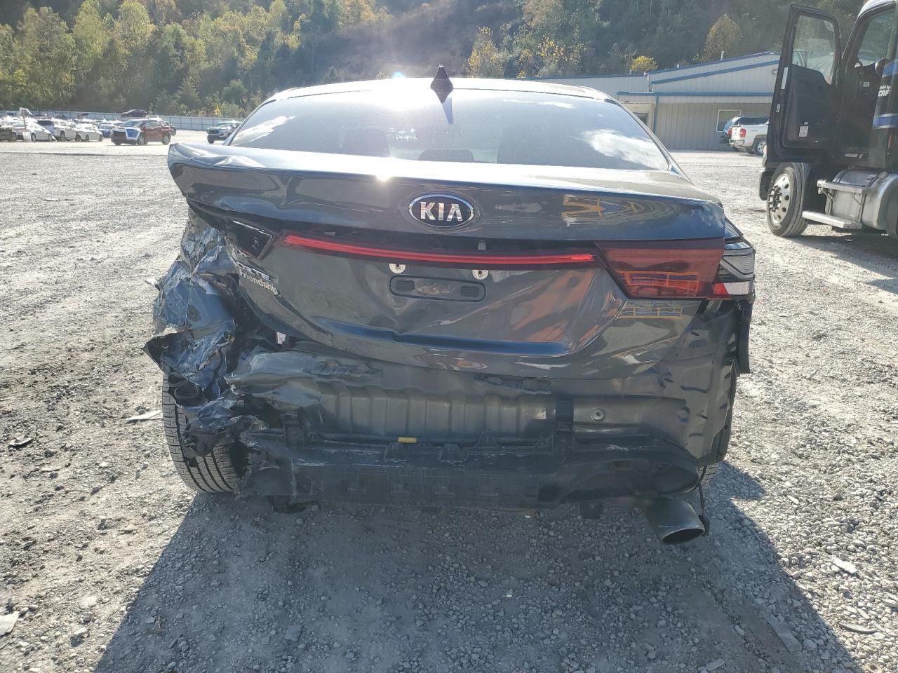 2020 Kia Forte Fe VIN: 3KPF24AD2LE173933 Lot: 87000715