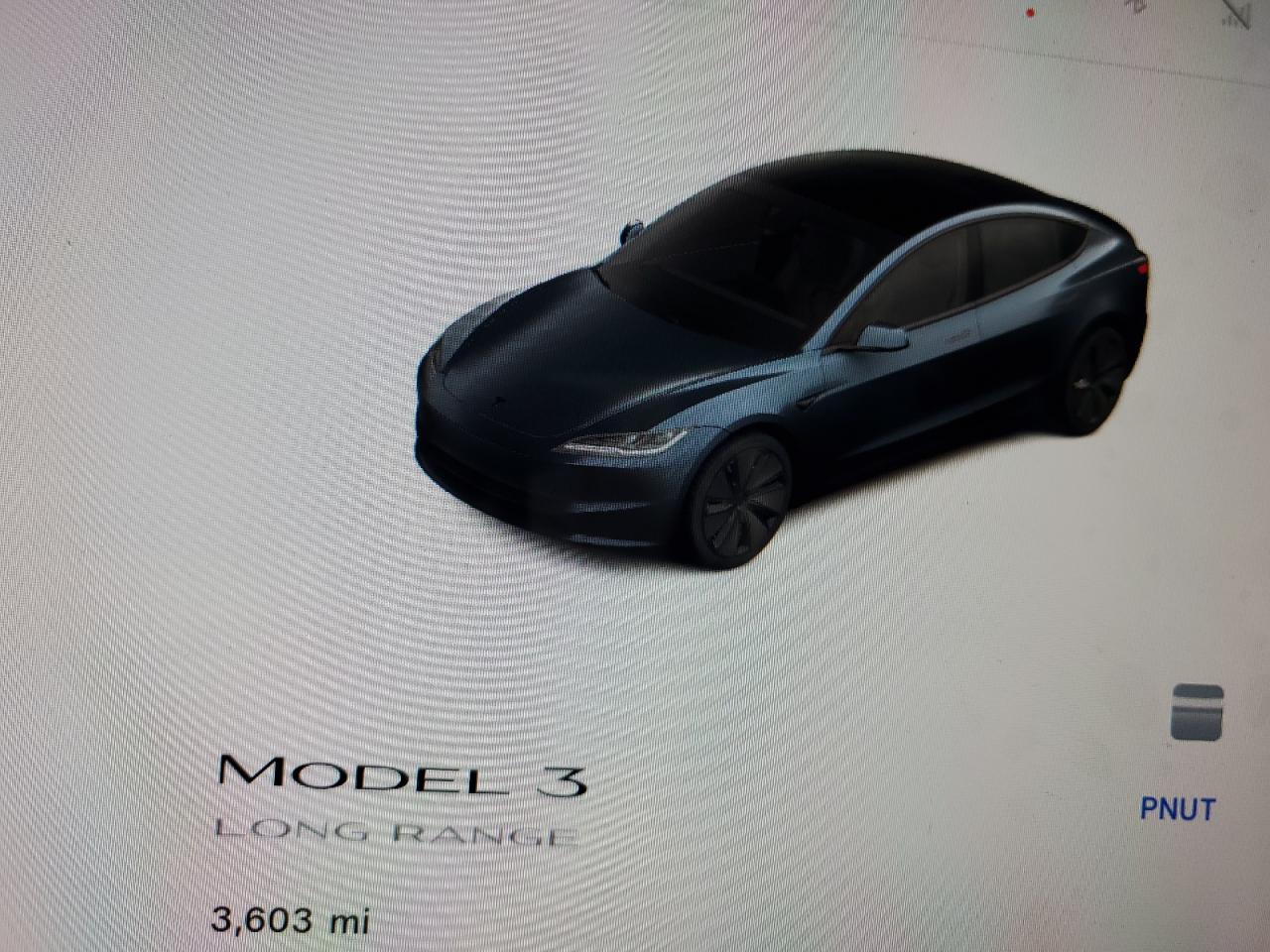 2025 Tesla Model 3 VIN: 5YJ3E1EA1SF004021 Lot: 81891375