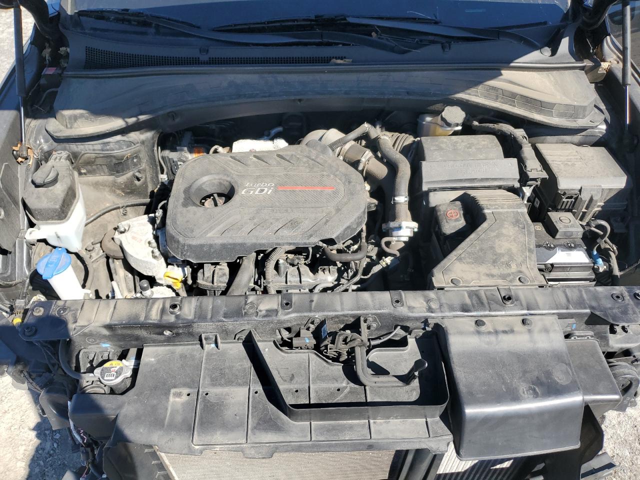 2020 Hyundai Santa Fe Sel VIN: 5NMS33AAXLH281348 Lot: 82246465